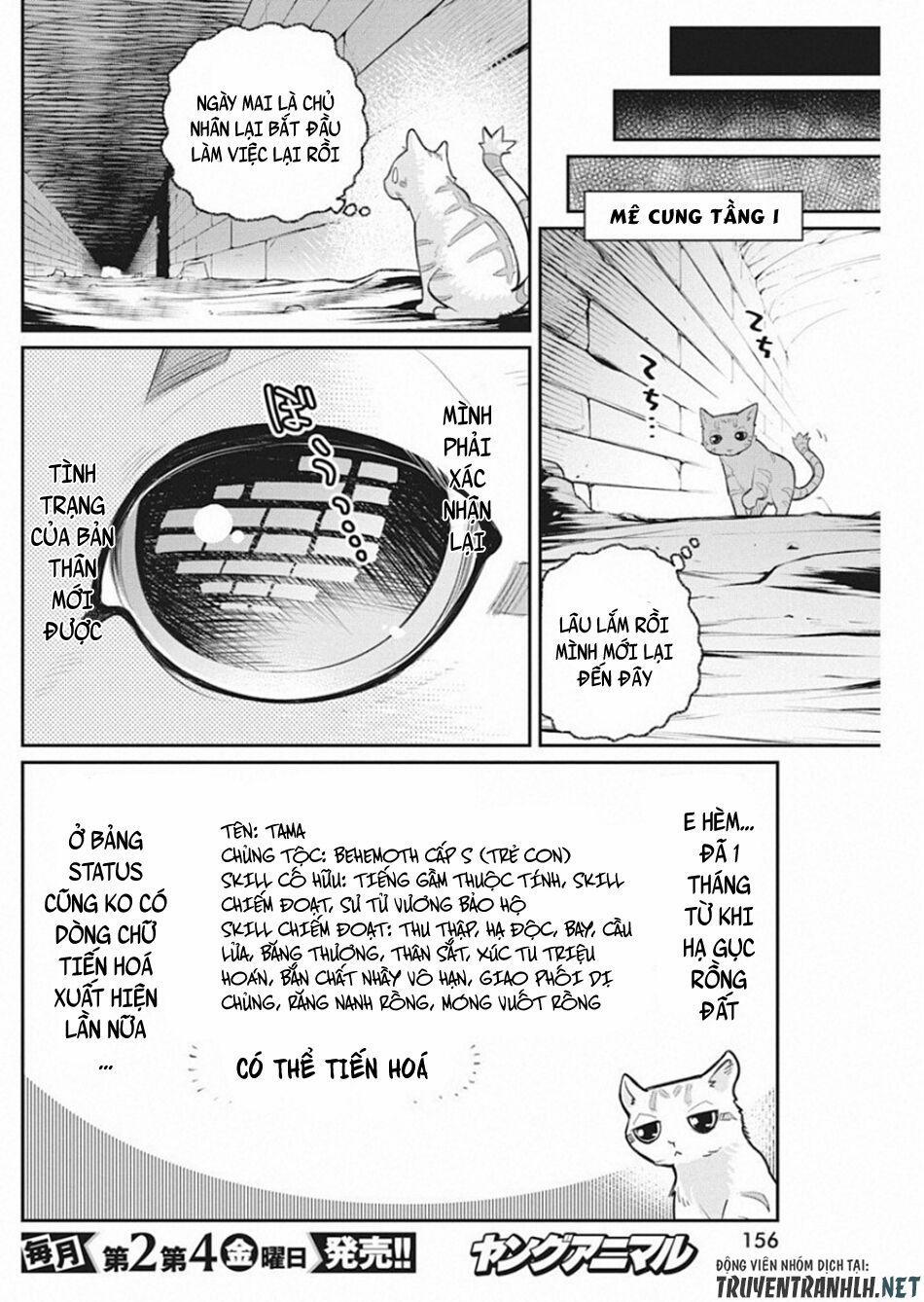 I Am Behemoth Of The S Rank Monster But I Am Mistaken As A Cat And I Live As A Pet Of Elf Girl 19 trang 9