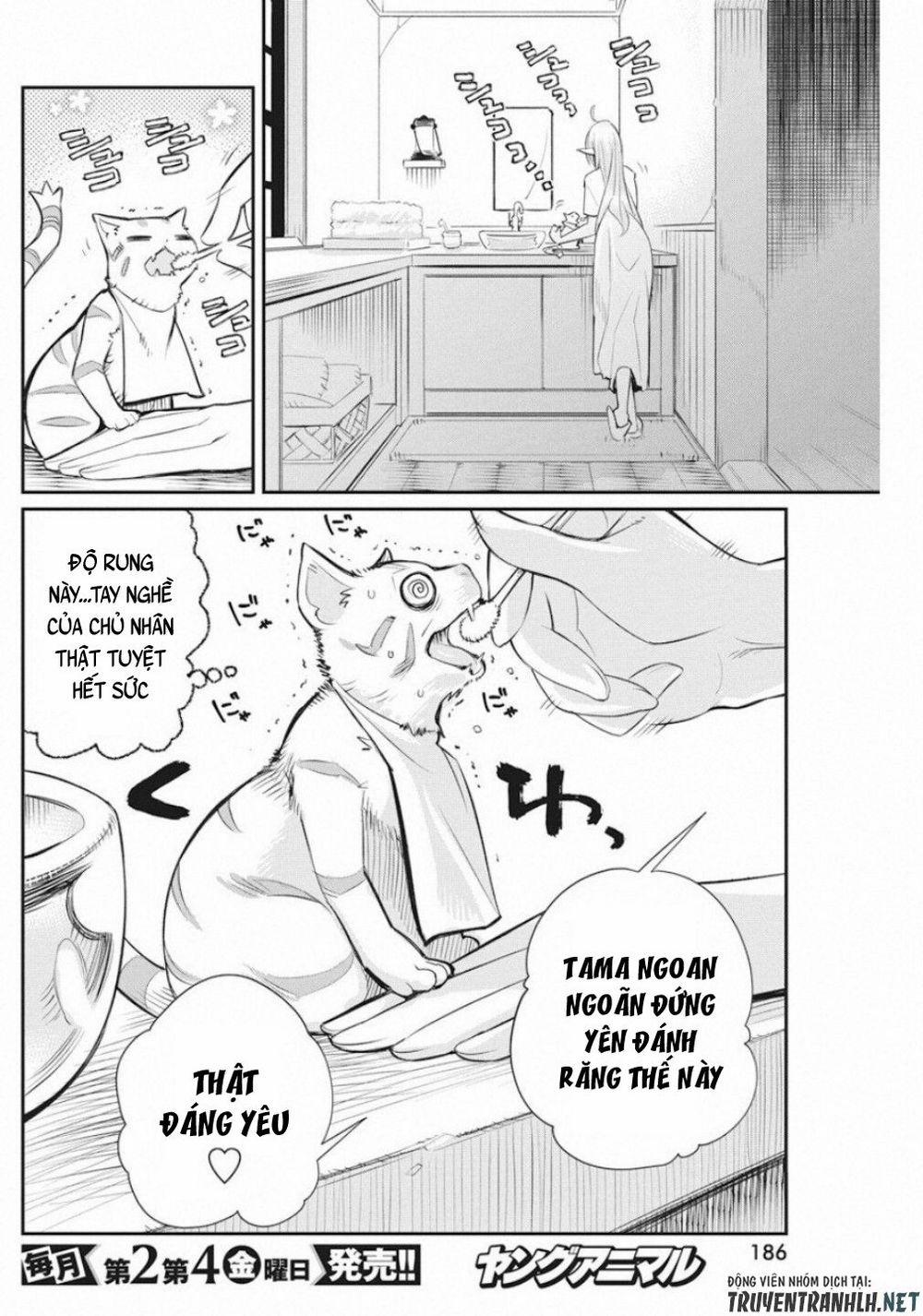 I Am Behemoth Of The S Rank Monster But I Am Mistaken As A Cat And I Live As A Pet Of Elf Girl 21 trang 22