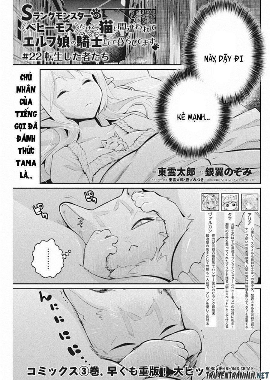 I Am Behemoth Of The S Rank Monster But I Am Mistaken As A Cat And I Live As A Pet Of Elf Girl 22 trang 2