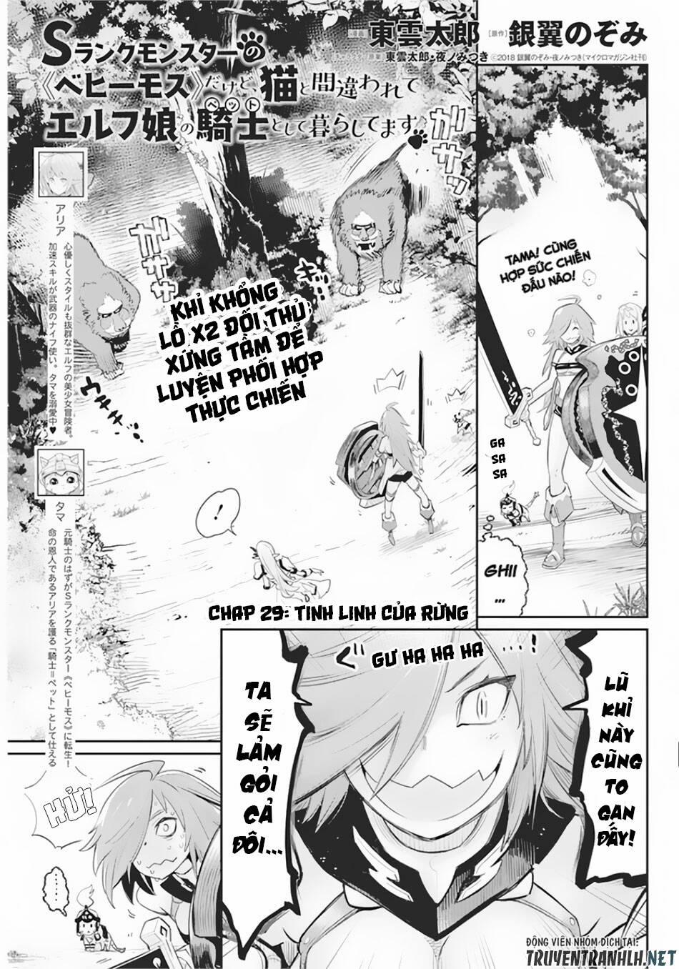 I Am Behemoth Of The S Rank Monster But I Am Mistaken As A Cat And I Live As A Pet Of Elf Girl 29 trang 2