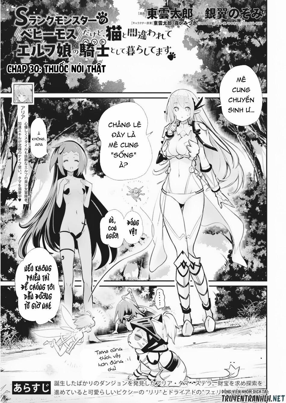I Am Behemoth Of The S Rank Monster But I Am Mistaken As A Cat And I Live As A Pet Of Elf Girl 30 trang 2