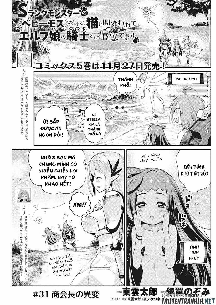 I Am Behemoth Of The S Rank Monster But I Am Mistaken As A Cat And I Live As A Pet Of Elf Girl 31 trang 2