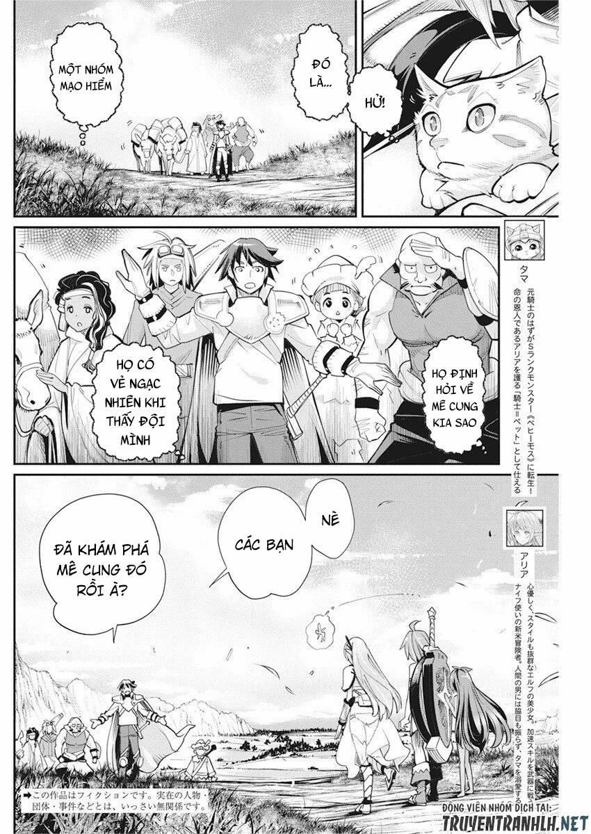 I Am Behemoth Of The S Rank Monster But I Am Mistaken As A Cat And I Live As A Pet Of Elf Girl 31 trang 3