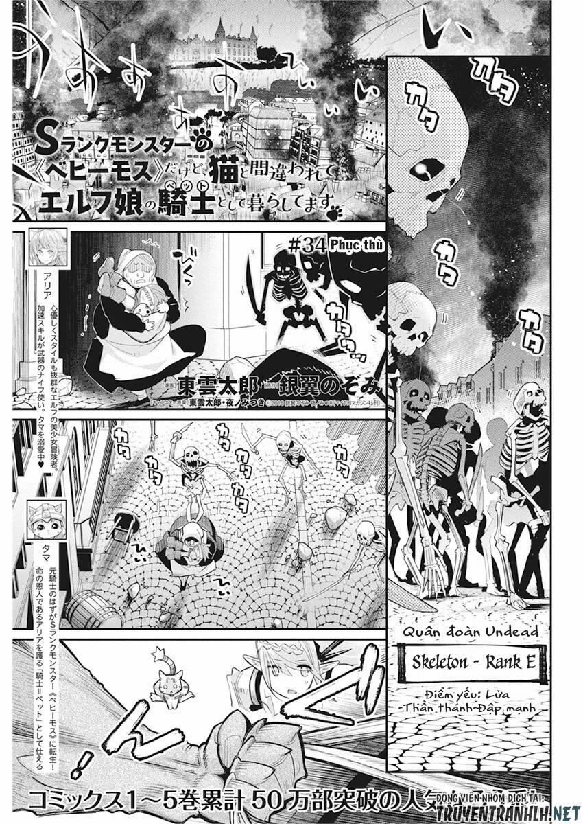 I Am Behemoth Of The S Rank Monster But I Am Mistaken As A Cat And I Live As A Pet Of Elf Girl 34 trang 2