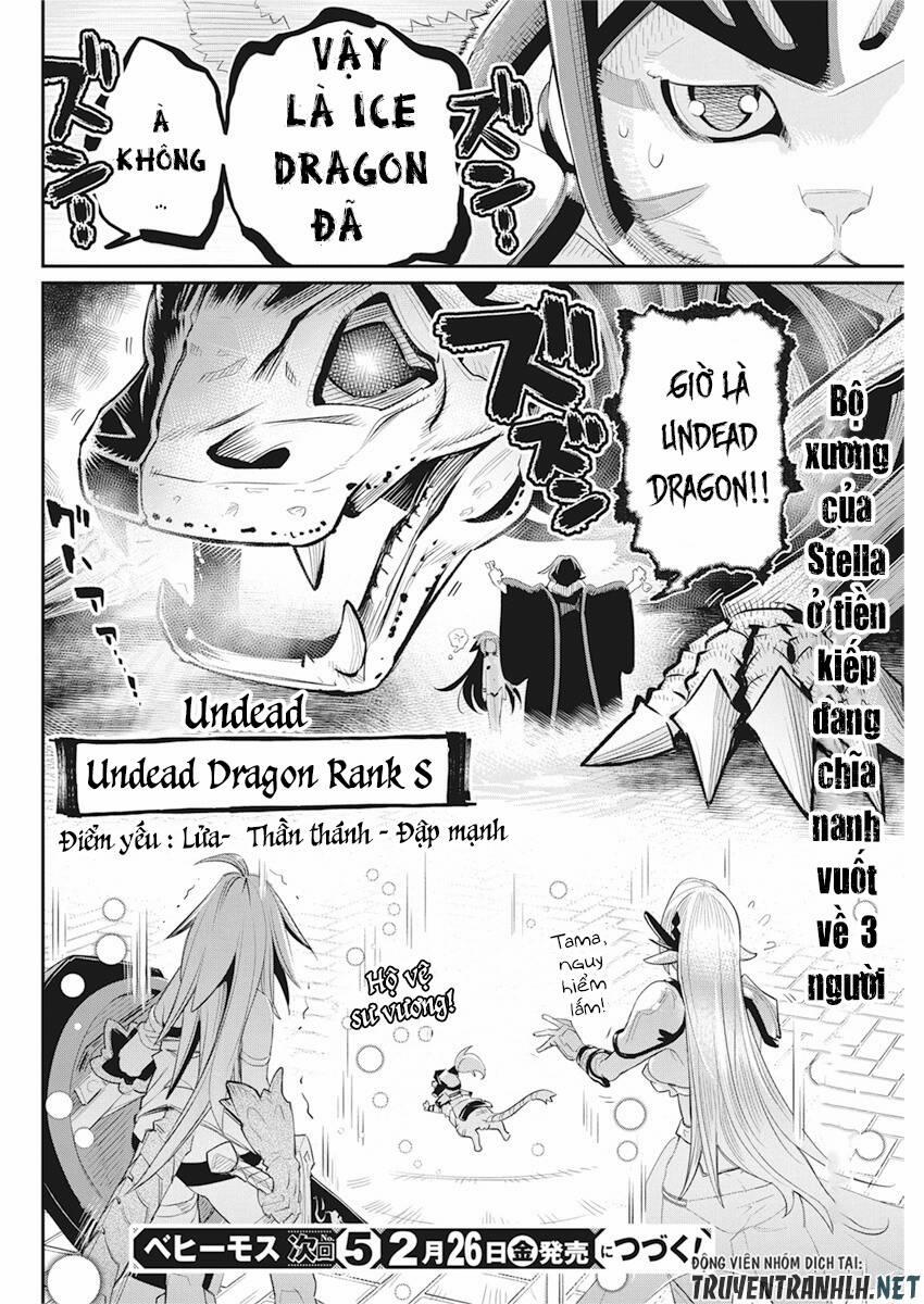 I Am Behemoth Of The S Rank Monster But I Am Mistaken As A Cat And I Live As A Pet Of Elf Girl 34 trang 22