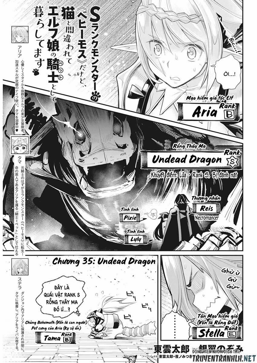 I Am Behemoth Of The S Rank Monster But I Am Mistaken As A Cat And I Live As A Pet Of Elf Girl 35 trang 2