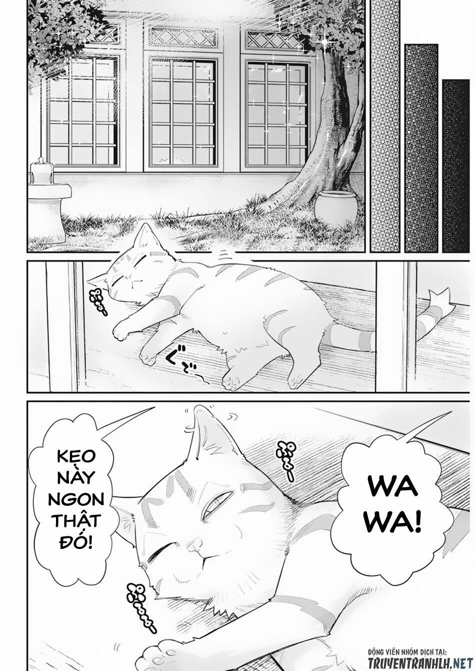 I Am Behemoth Of The S Rank Monster But I Am Mistaken As A Cat And I Live As A Pet Of Elf Girl 36 trang 17