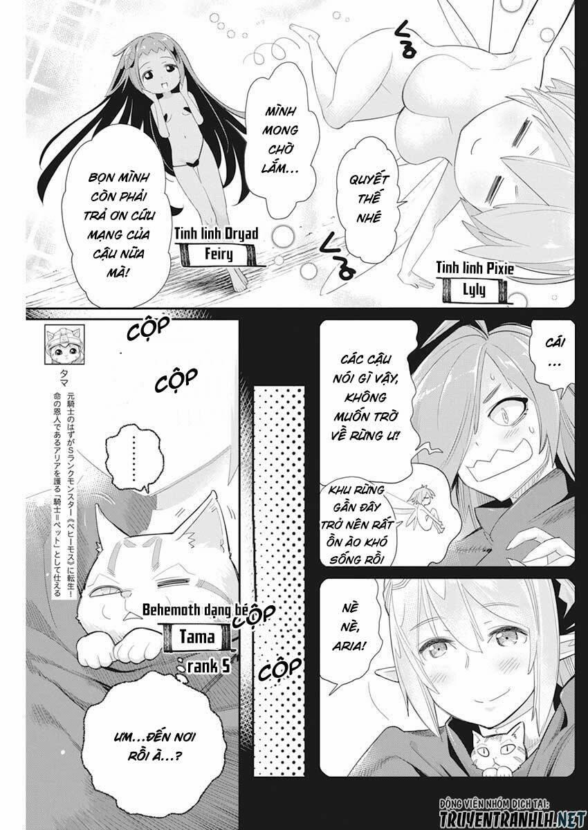I Am Behemoth Of The S Rank Monster But I Am Mistaken As A Cat And I Live As A Pet Of Elf Girl 37 trang 3