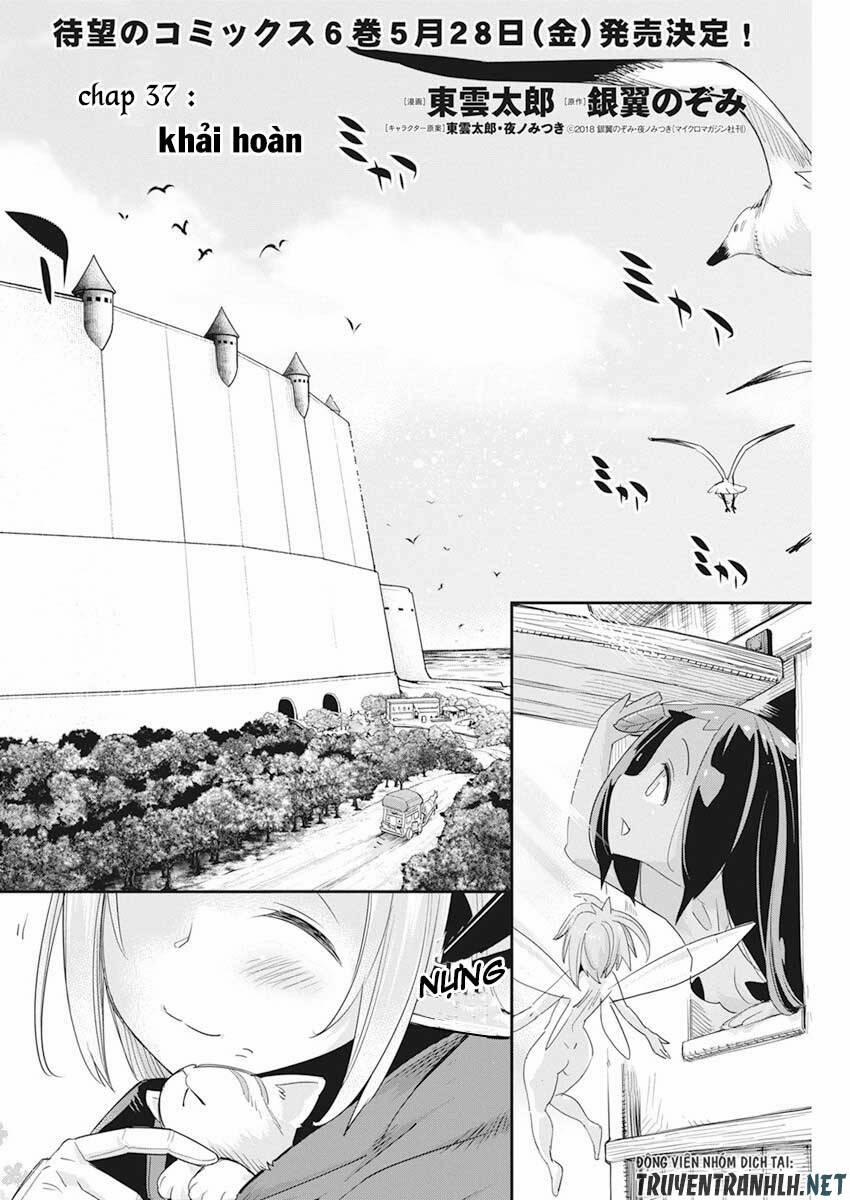 I Am Behemoth Of The S Rank Monster But I Am Mistaken As A Cat And I Live As A Pet Of Elf Girl 37 trang 4