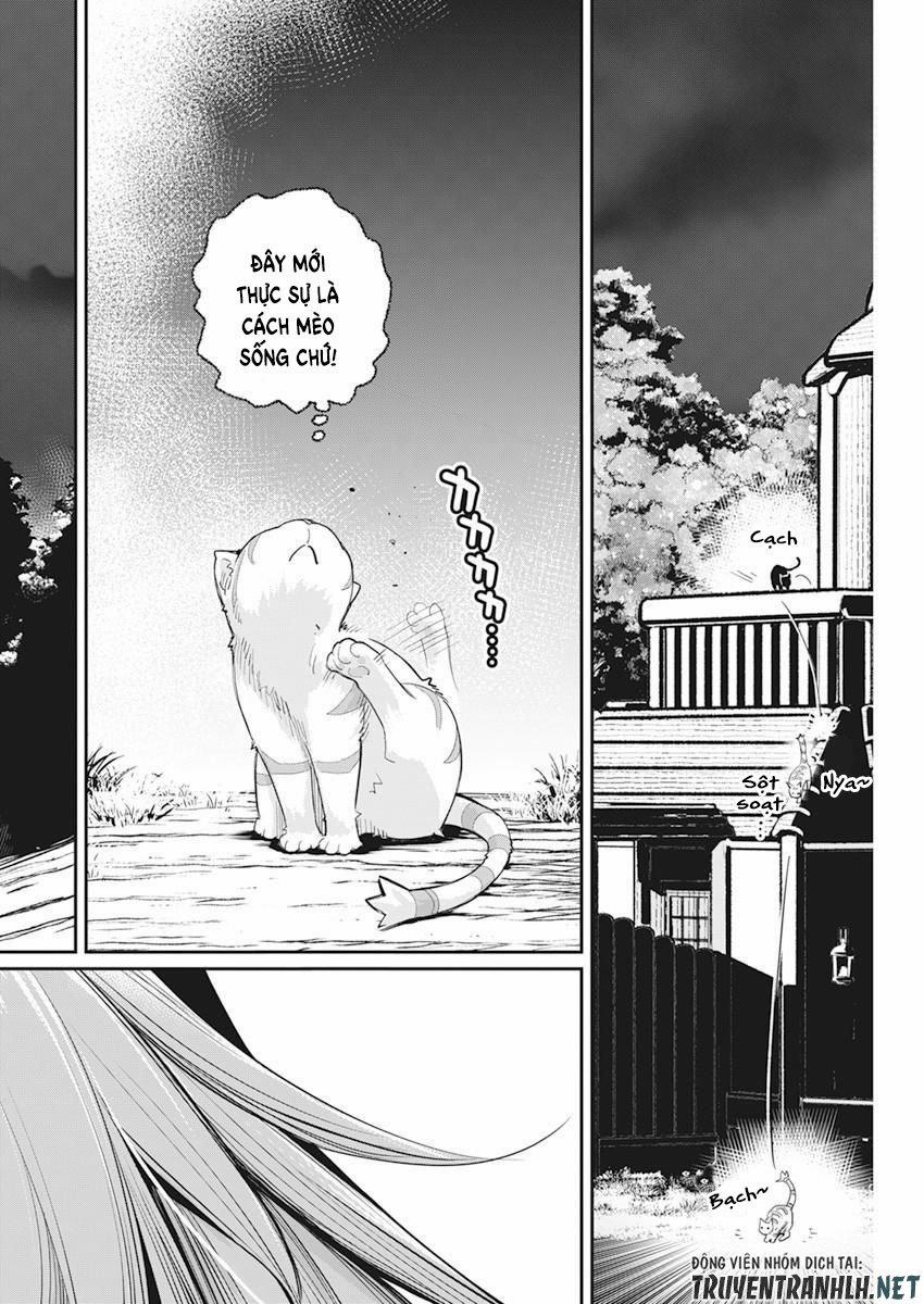 I Am Behemoth Of The S Rank Monster But I Am Mistaken As A Cat And I Live As A Pet Of Elf Girl 38 trang 22