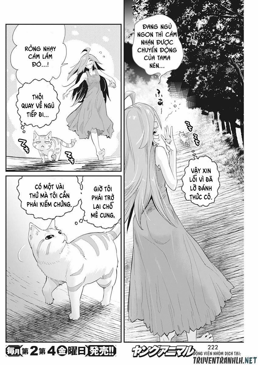 I Am Behemoth Of The S Rank Monster But I Am Mistaken As A Cat And I Live As A Pet Of Elf Girl 38 trang 25