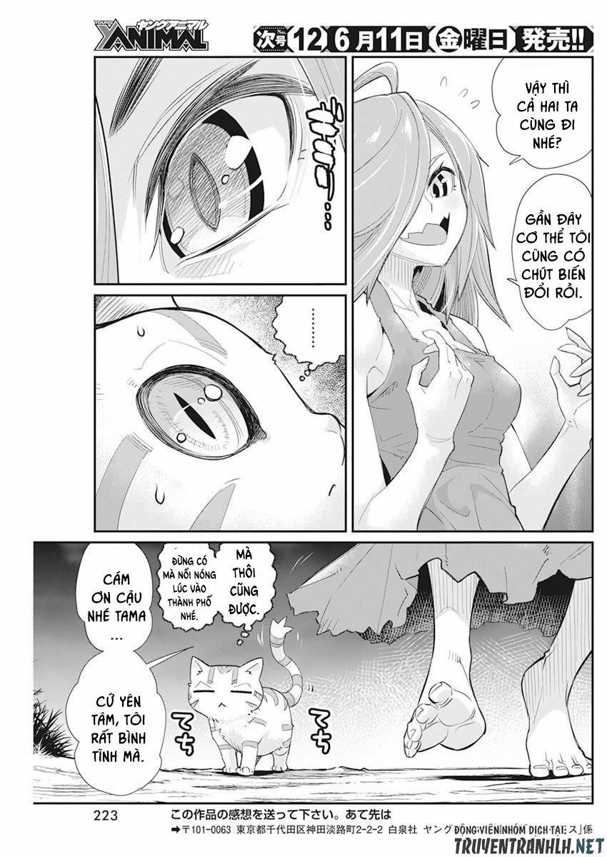 I Am Behemoth Of The S Rank Monster But I Am Mistaken As A Cat And I Live As A Pet Of Elf Girl 38 trang 26