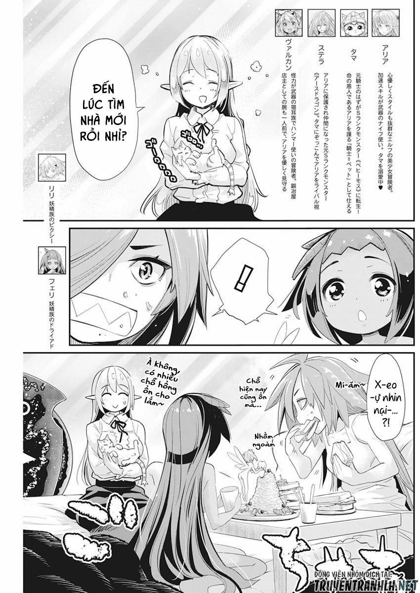 I Am Behemoth Of The S Rank Monster But I Am Mistaken As A Cat And I Live As A Pet Of Elf Girl 38 trang 3