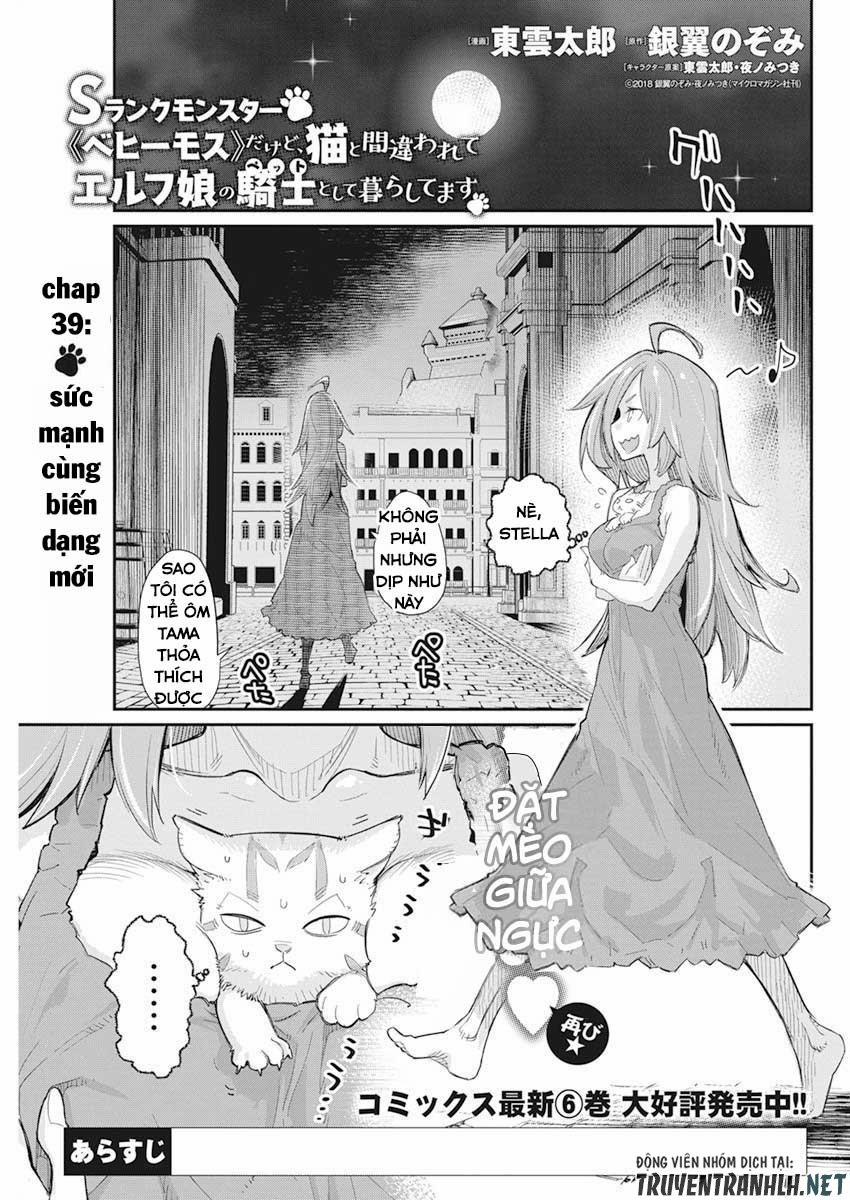 I Am Behemoth Of The S Rank Monster But I Am Mistaken As A Cat And I Live As A Pet Of Elf Girl 39 trang 2