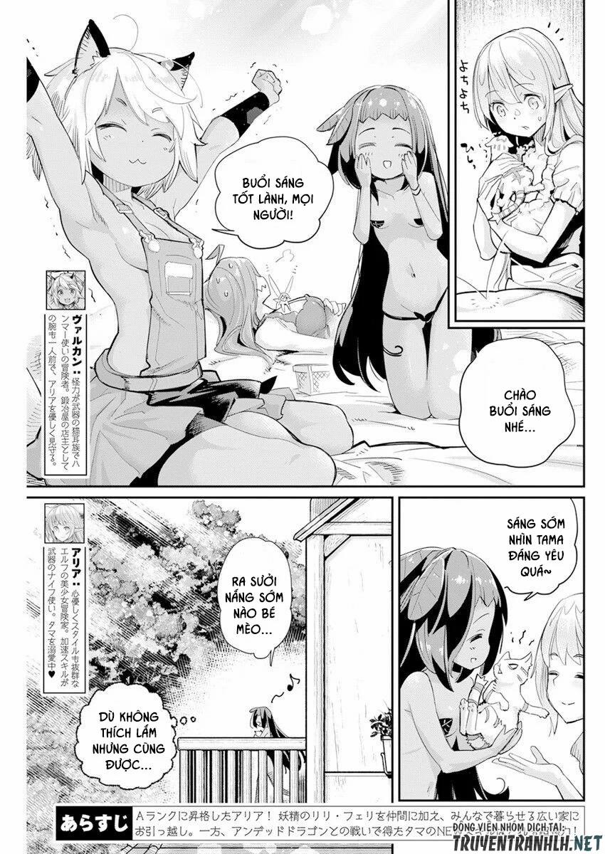 I Am Behemoth Of The S Rank Monster But I Am Mistaken As A Cat And I Live As A Pet Of Elf Girl 40 trang 4