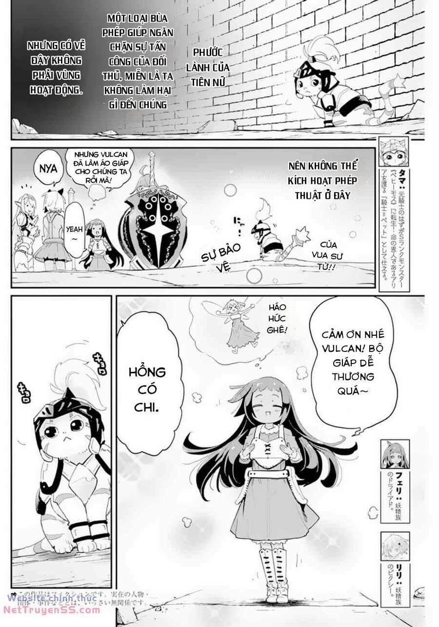 I Am Behemoth Of The S Rank Monster But I Am Mistaken As A Cat And I Live As A Pet Of Elf Girl 41.1 trang 8