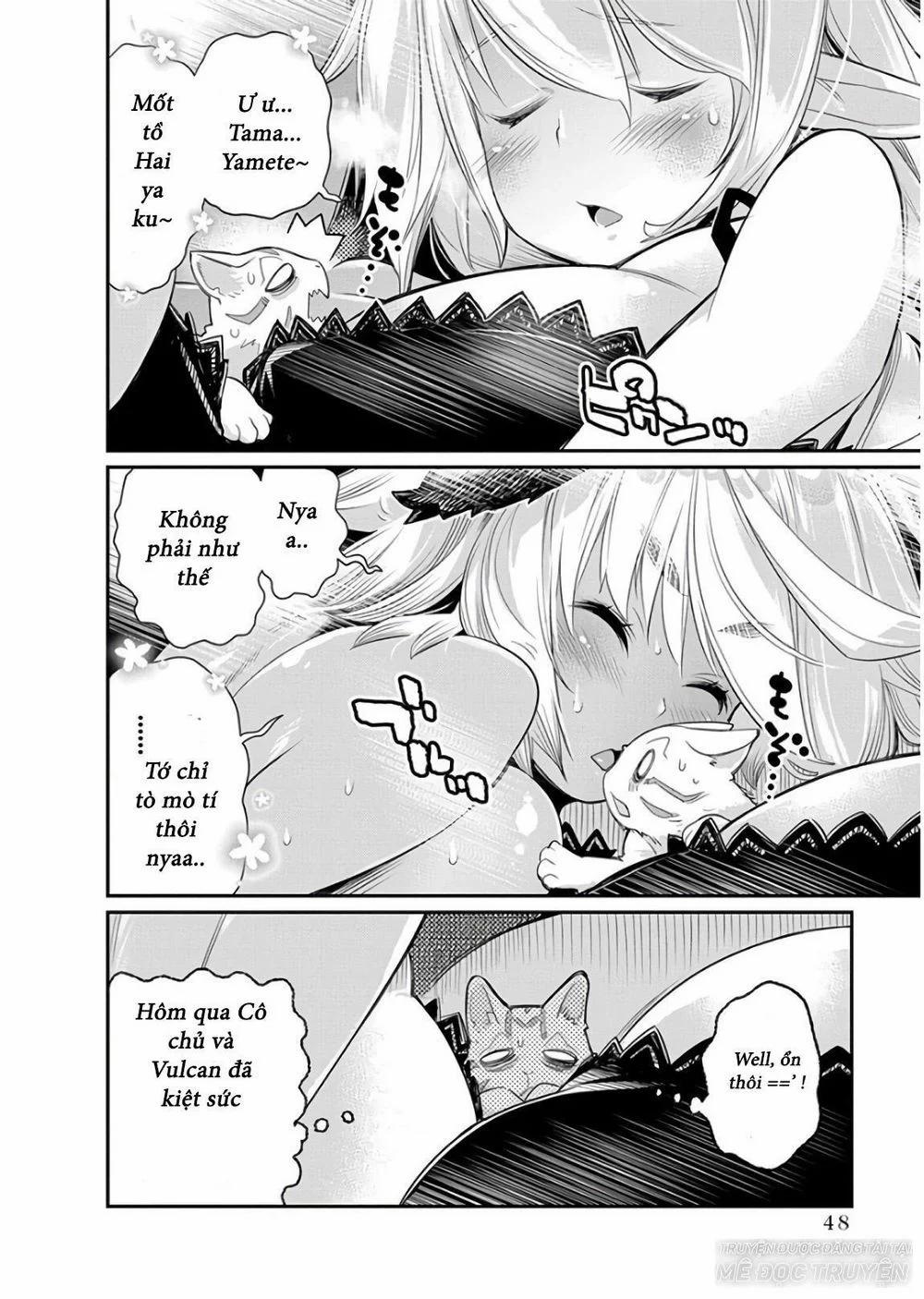 I Am Behemoth Of The S Rank Monster But I Am Mistaken As A Cat And I Live As A Pet Of Elf Girl 8 trang 19