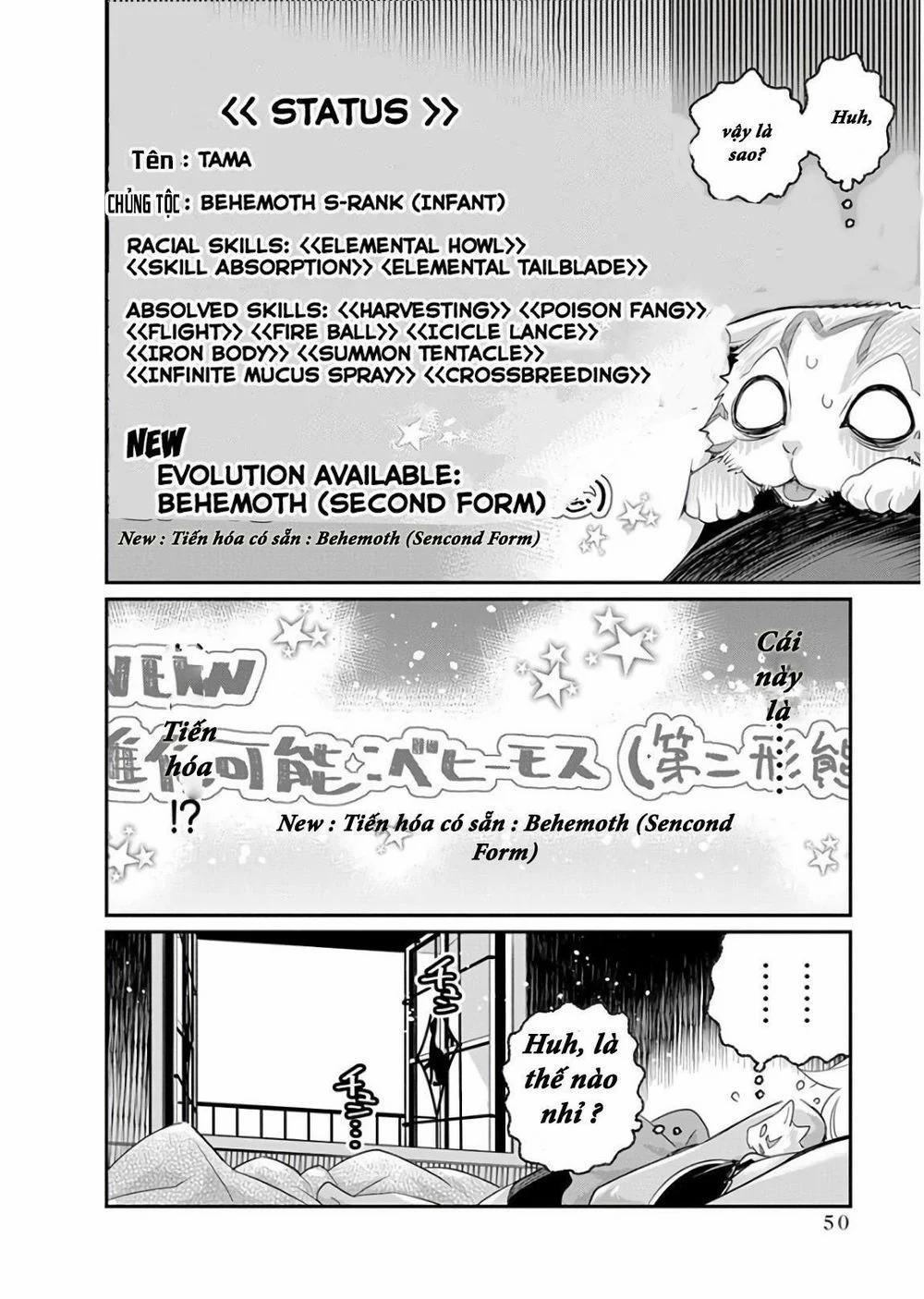 I Am Behemoth Of The S Rank Monster But I Am Mistaken As A Cat And I Live As A Pet Of Elf Girl 8 trang 21