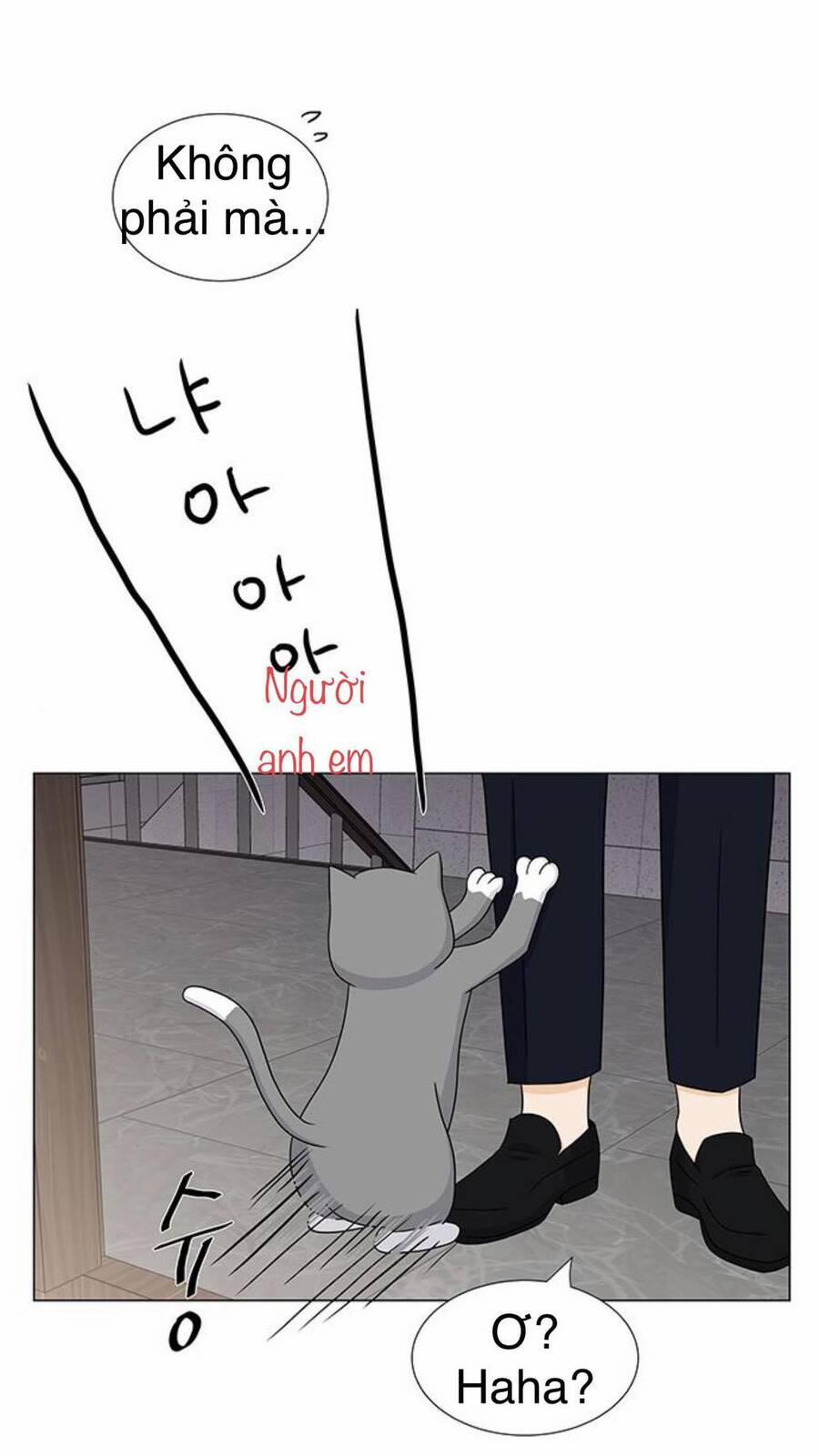 Idol Và Sếp, Em Yêu Ai? 102 trang 16