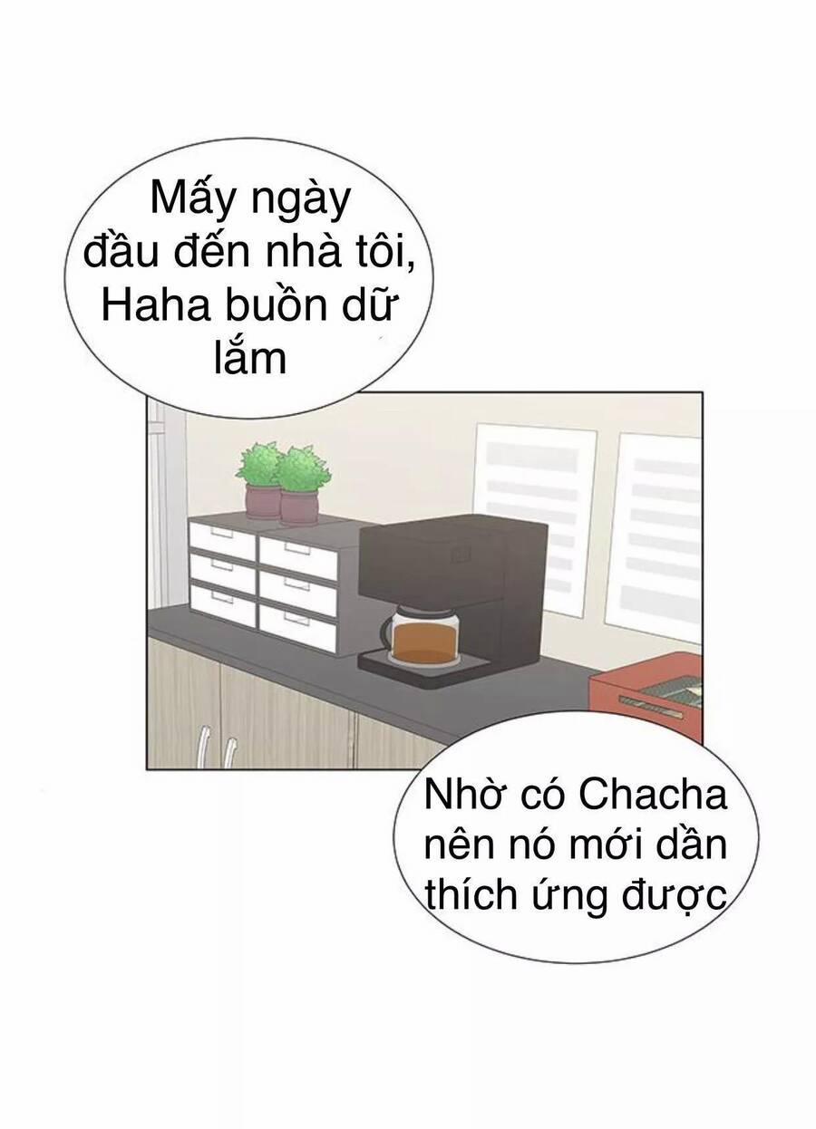 Idol Và Sếp, Em Yêu Ai? 117 trang 15