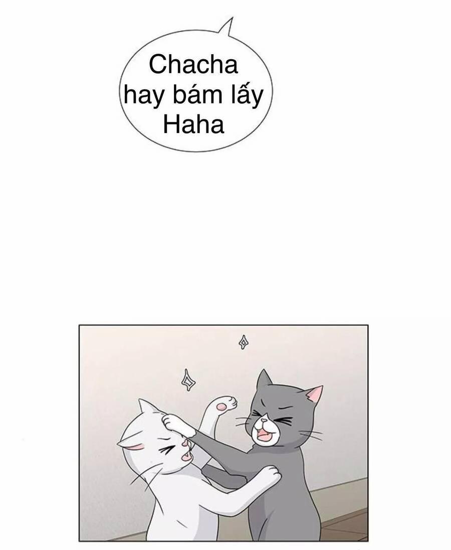 Idol Và Sếp, Em Yêu Ai? 117 trang 23