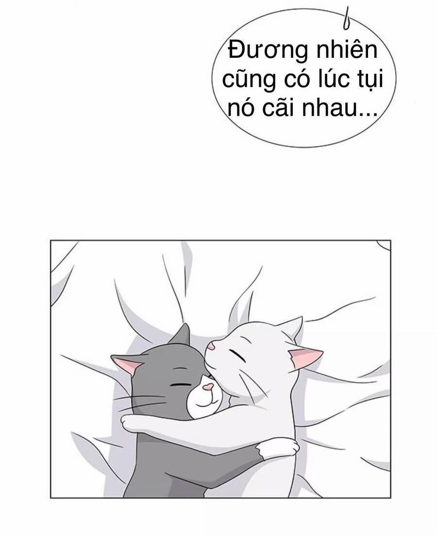 Idol Và Sếp, Em Yêu Ai? 117 trang 24