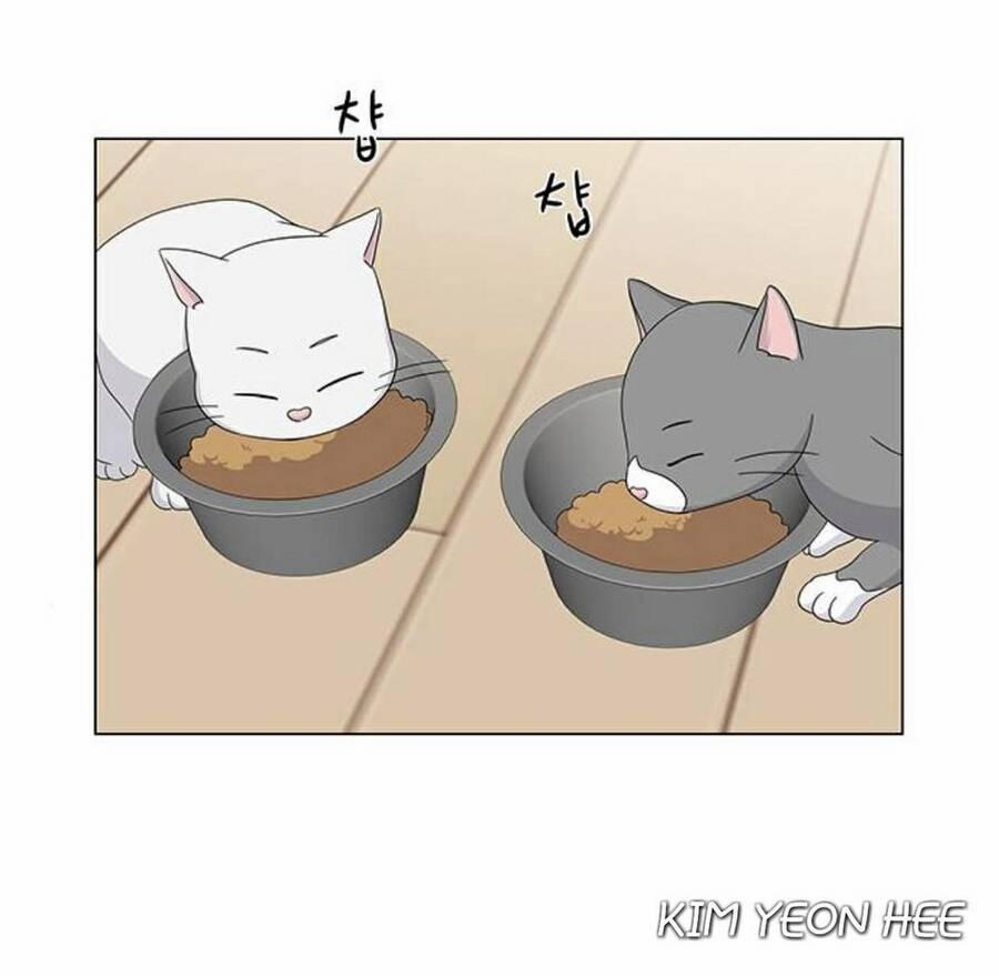 Idol Và Sếp, Em Yêu Ai? 130 trang 2