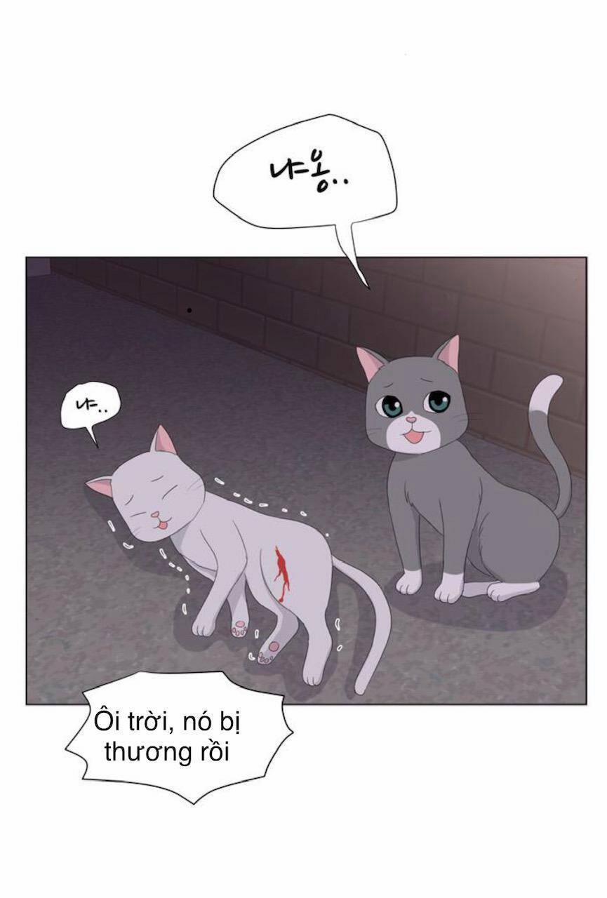 Idol Và Sếp, Em Yêu Ai? 21 trang 22