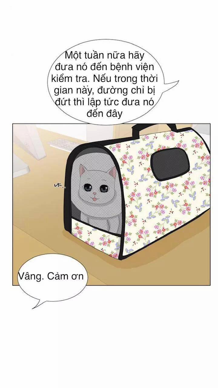 Idol Và Sếp, Em Yêu Ai? 22 trang 12