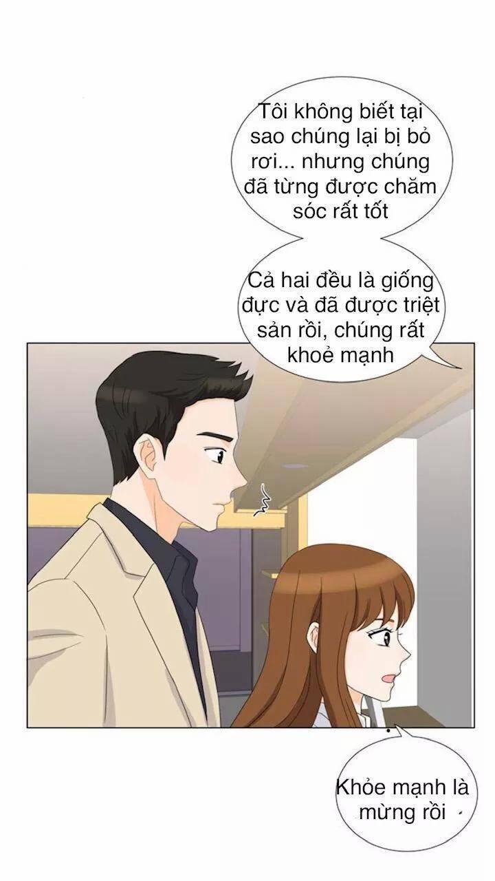 Idol Và Sếp, Em Yêu Ai? 22 trang 5