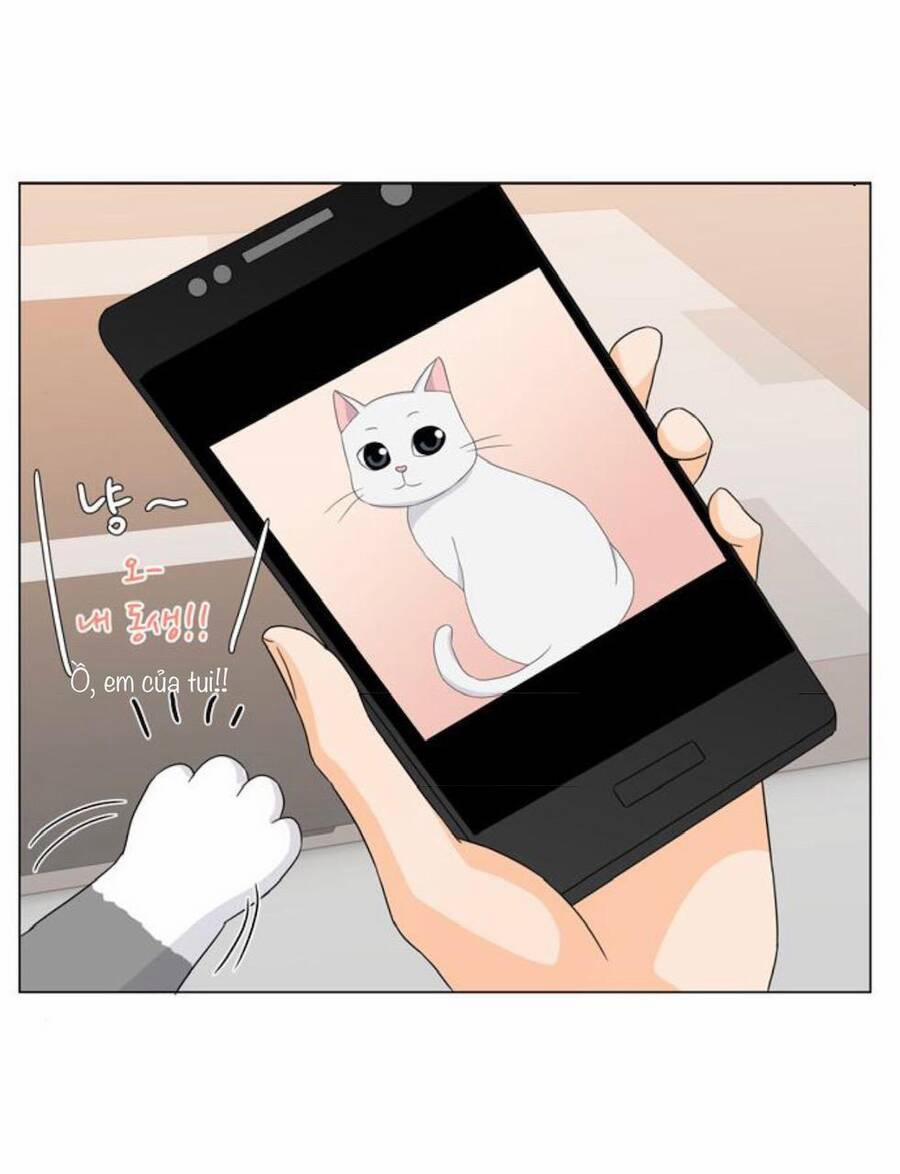 Idol Và Sếp, Em Yêu Ai? 32 trang 5