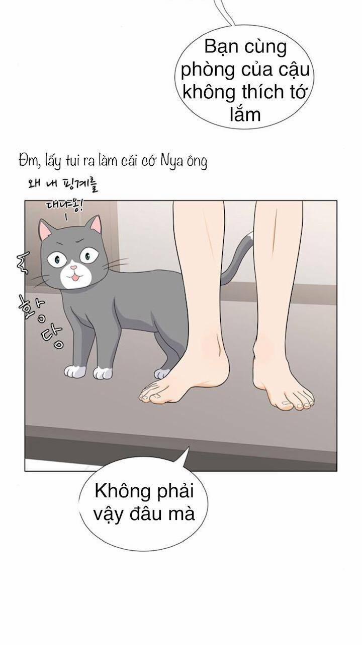 Idol Và Sếp, Em Yêu Ai? 52 trang 22