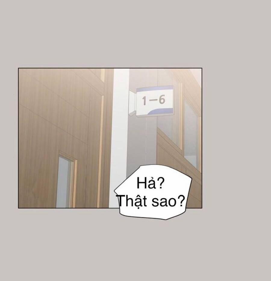 Idol Và Sếp, Em Yêu Ai? 64 trang 14