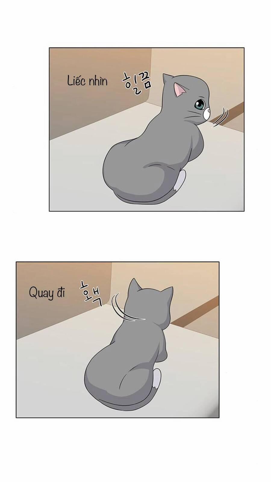 Idol Và Sếp, Em Yêu Ai? 68 trang 10