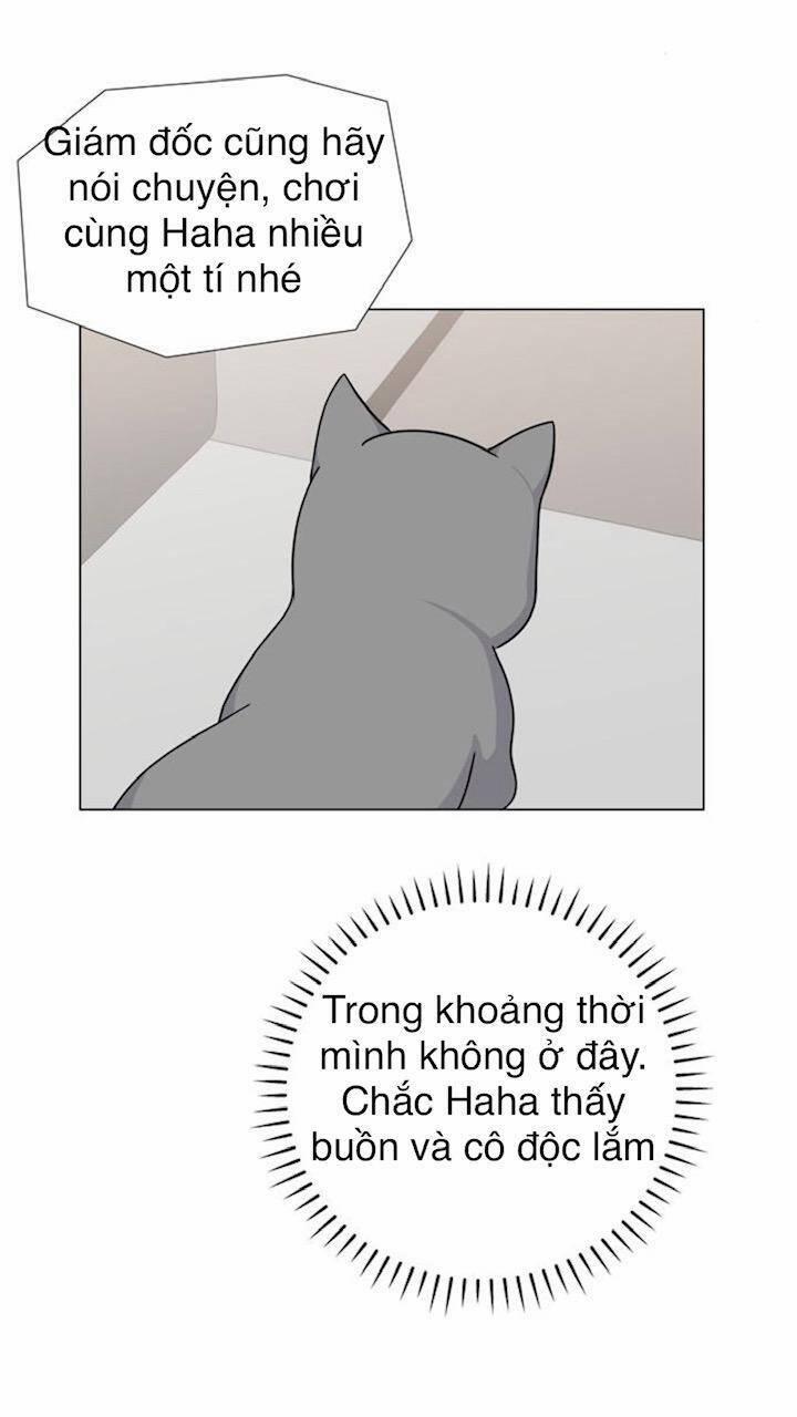 Idol Và Sếp, Em Yêu Ai? 68 trang 22