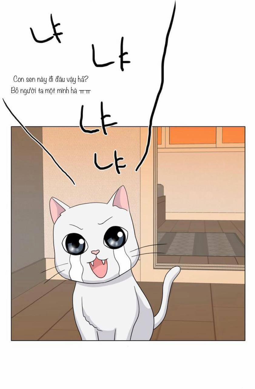 Idol Và Sếp, Em Yêu Ai? 68 trang 4