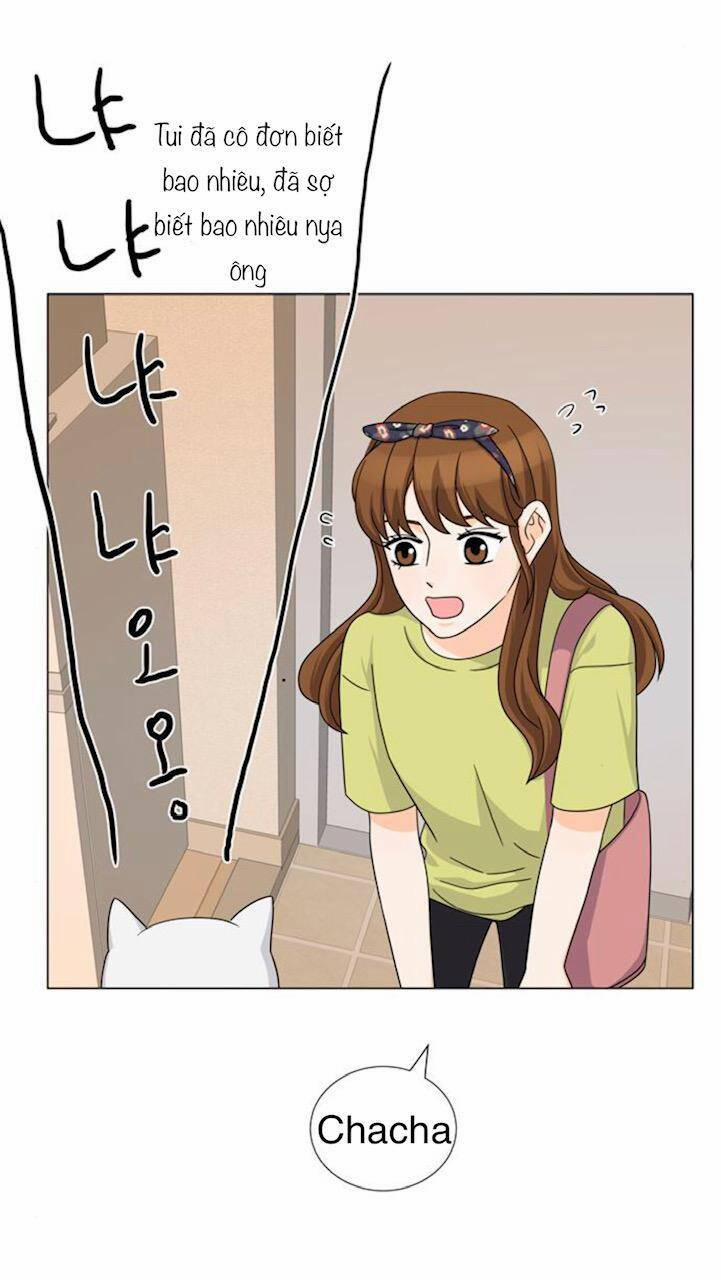 Idol Và Sếp, Em Yêu Ai? 68 trang 5