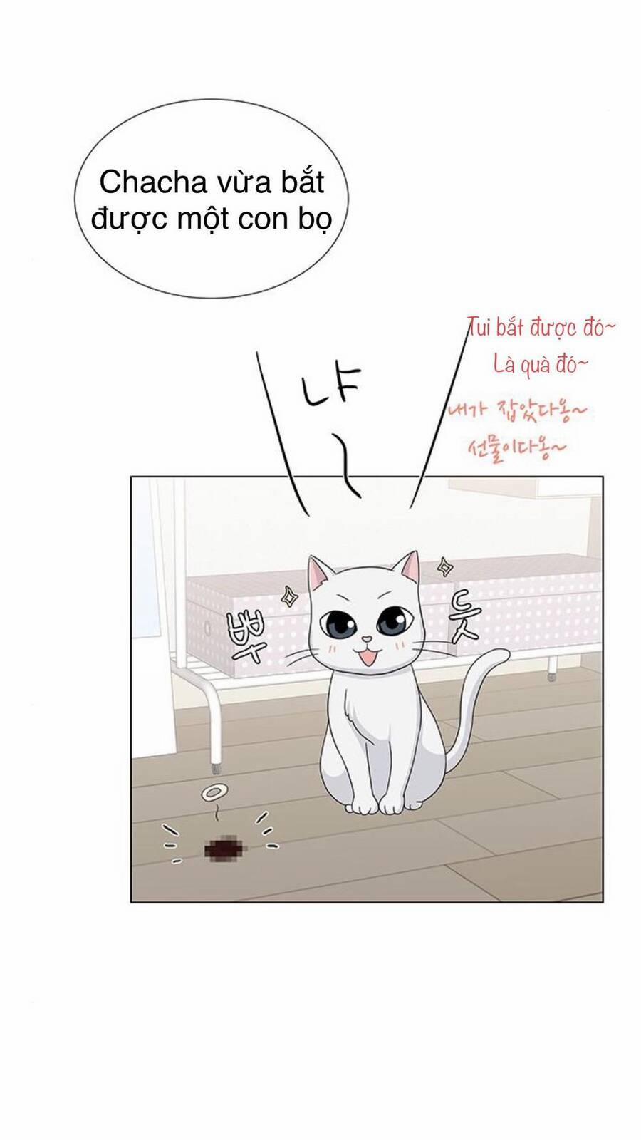 Idol Và Sếp, Em Yêu Ai? 74 trang 22