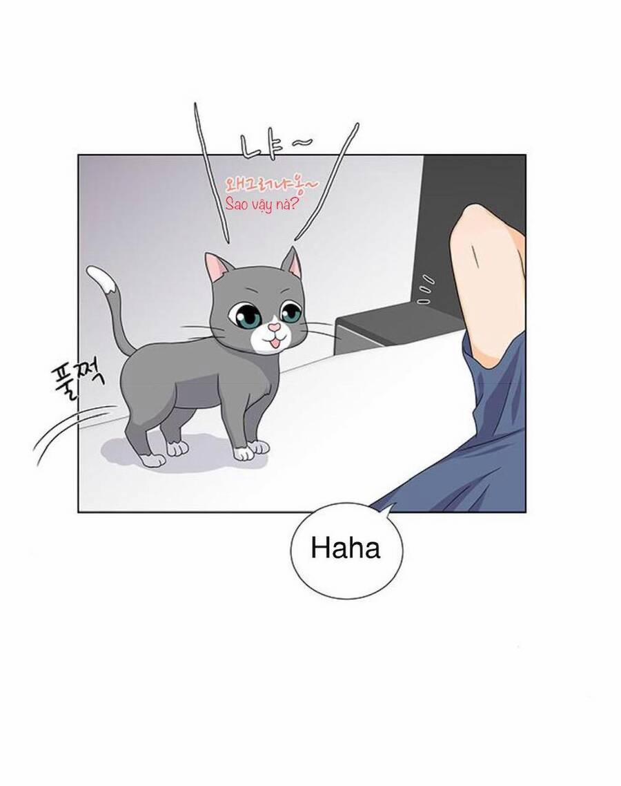 Idol Và Sếp, Em Yêu Ai? 77 trang 15