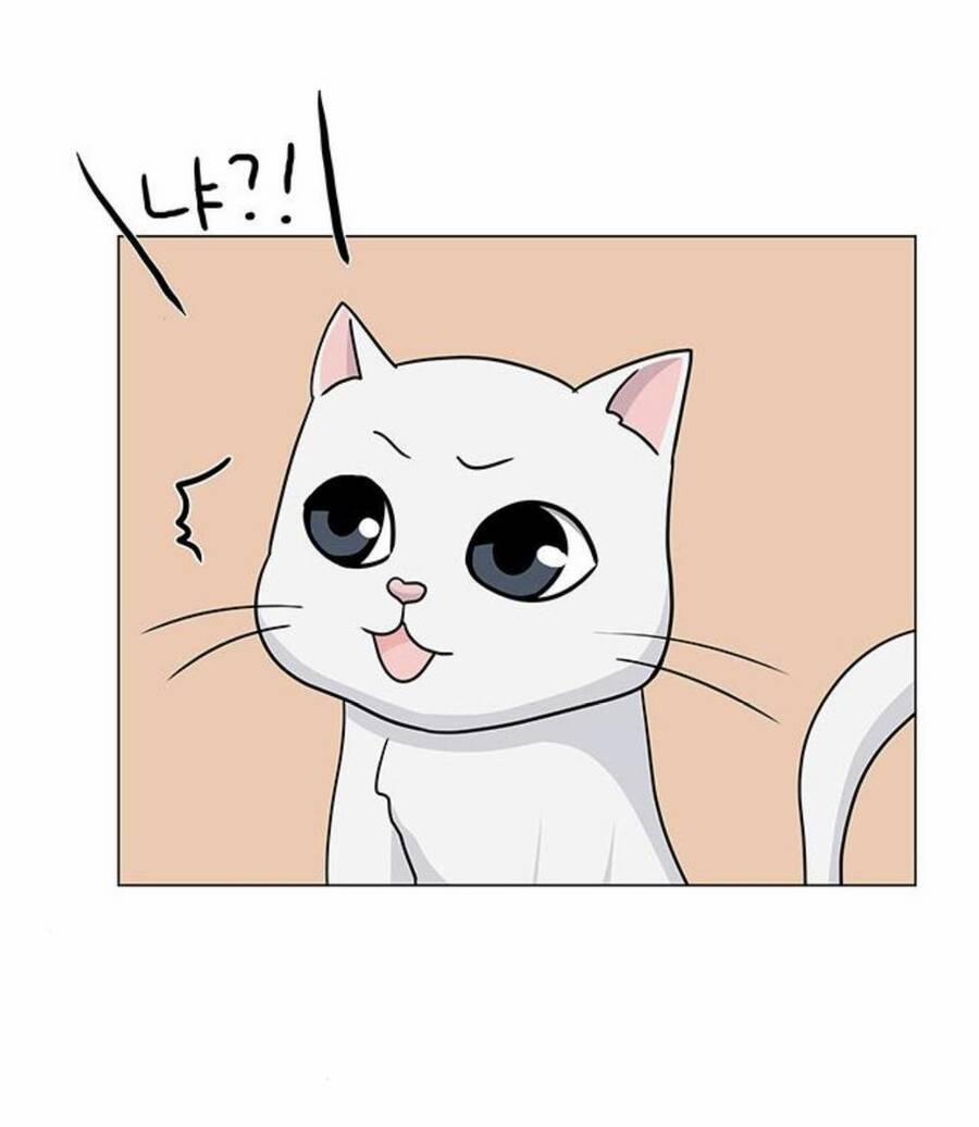 Idol Và Sếp, Em Yêu Ai? 90 trang 29