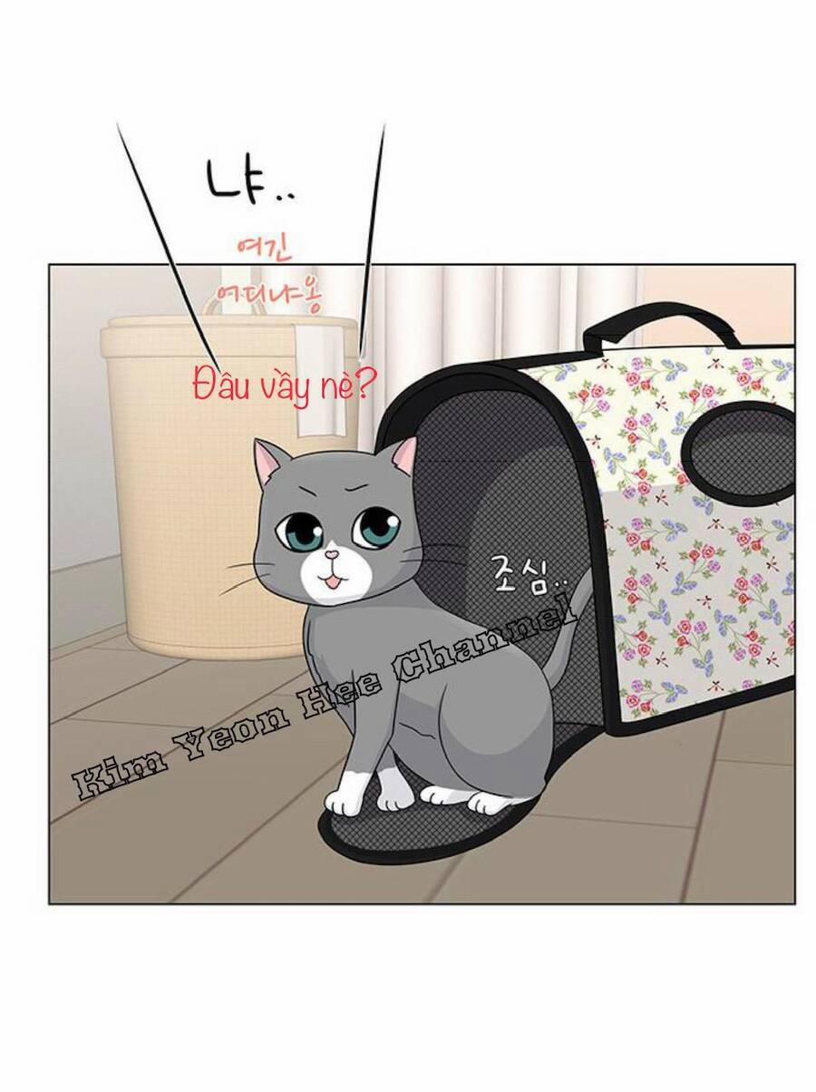 Idol Và Sếp, Em Yêu Ai? 91 trang 24