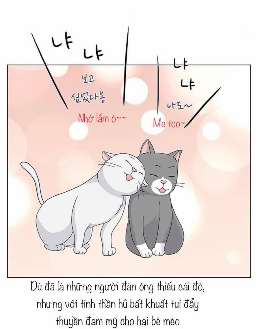 Idol Và Sếp, Em Yêu Ai? 91 trang 26