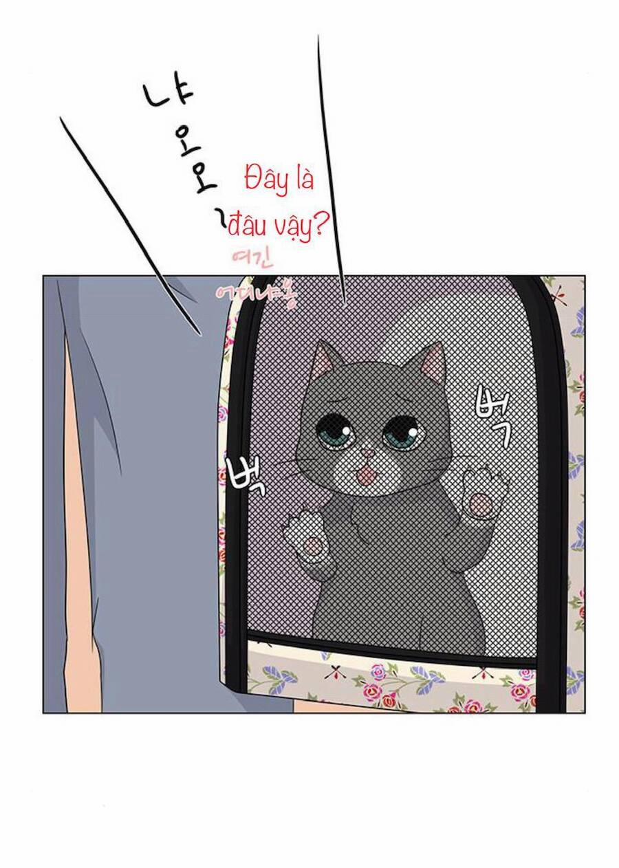 Idol Và Sếp, Em Yêu Ai? 91 trang 3