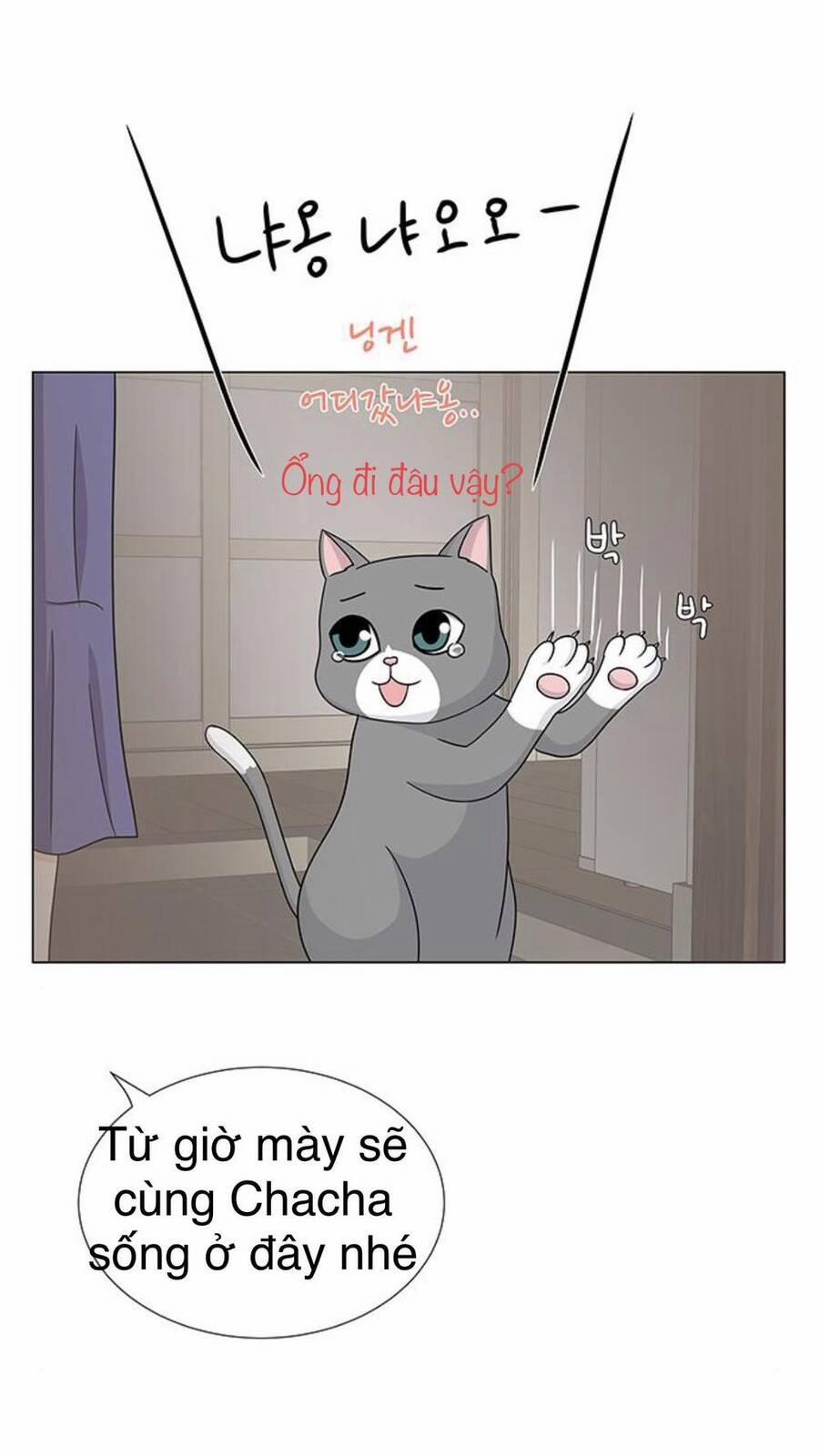 Idol Và Sếp, Em Yêu Ai? 91 trang 39