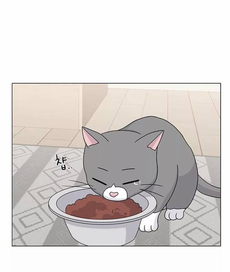 Idol Và Sếp, Em Yêu Ai? 98 trang 44