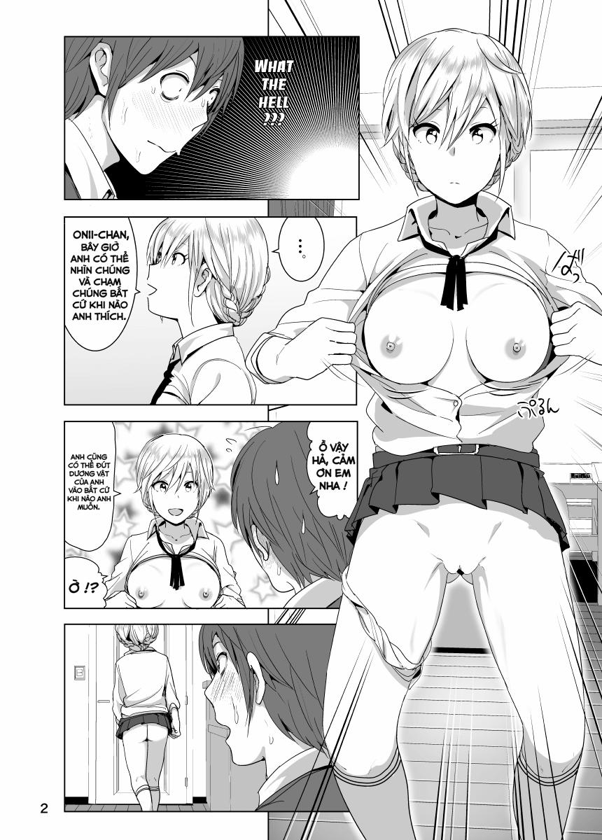 Imouto no Oppai ga Marudashi Datta Hanashi Oneshot trang 2
