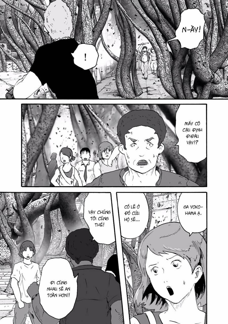 Insects R 6 trang 13