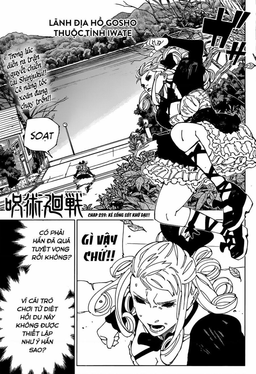 Jujutsu Kaisen - Chú Thuật Hồi Chiến 239 trang 1