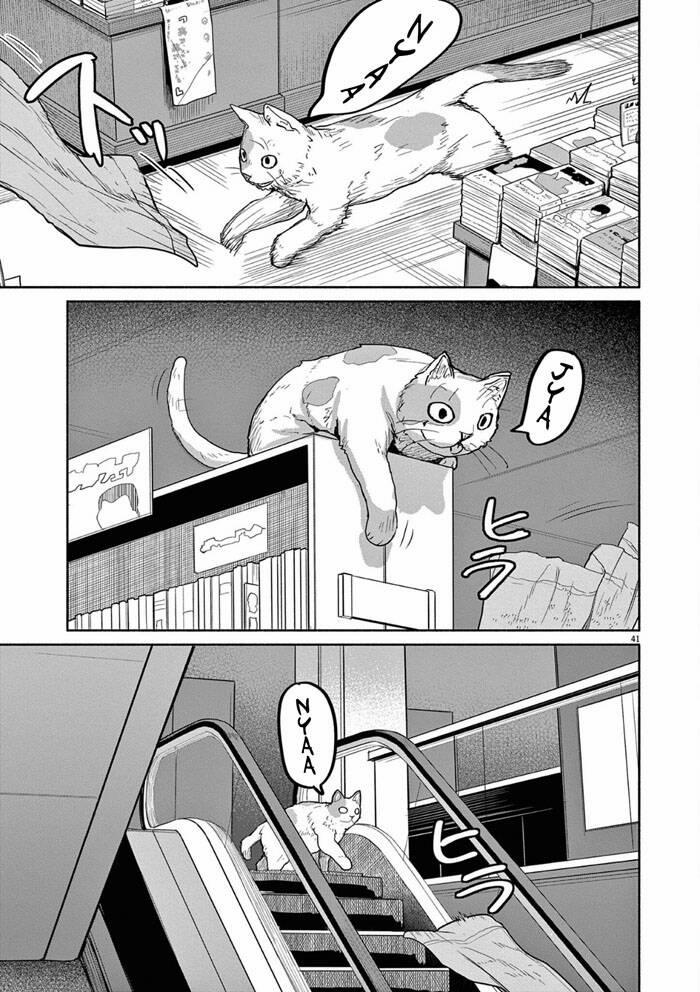 Kaii To Otome To Kamigakushi 47 trang 11