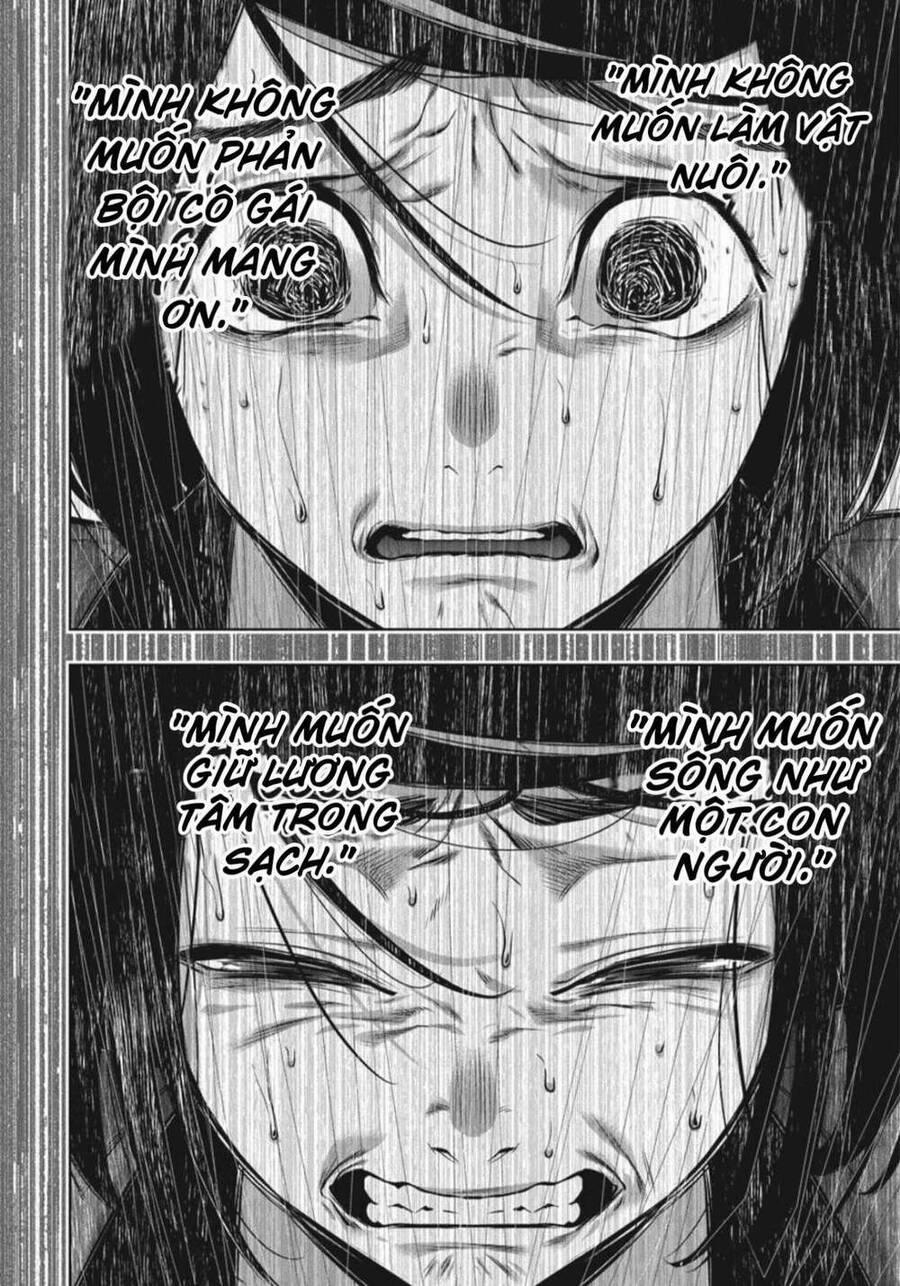 Kakegurui 81 trang 23